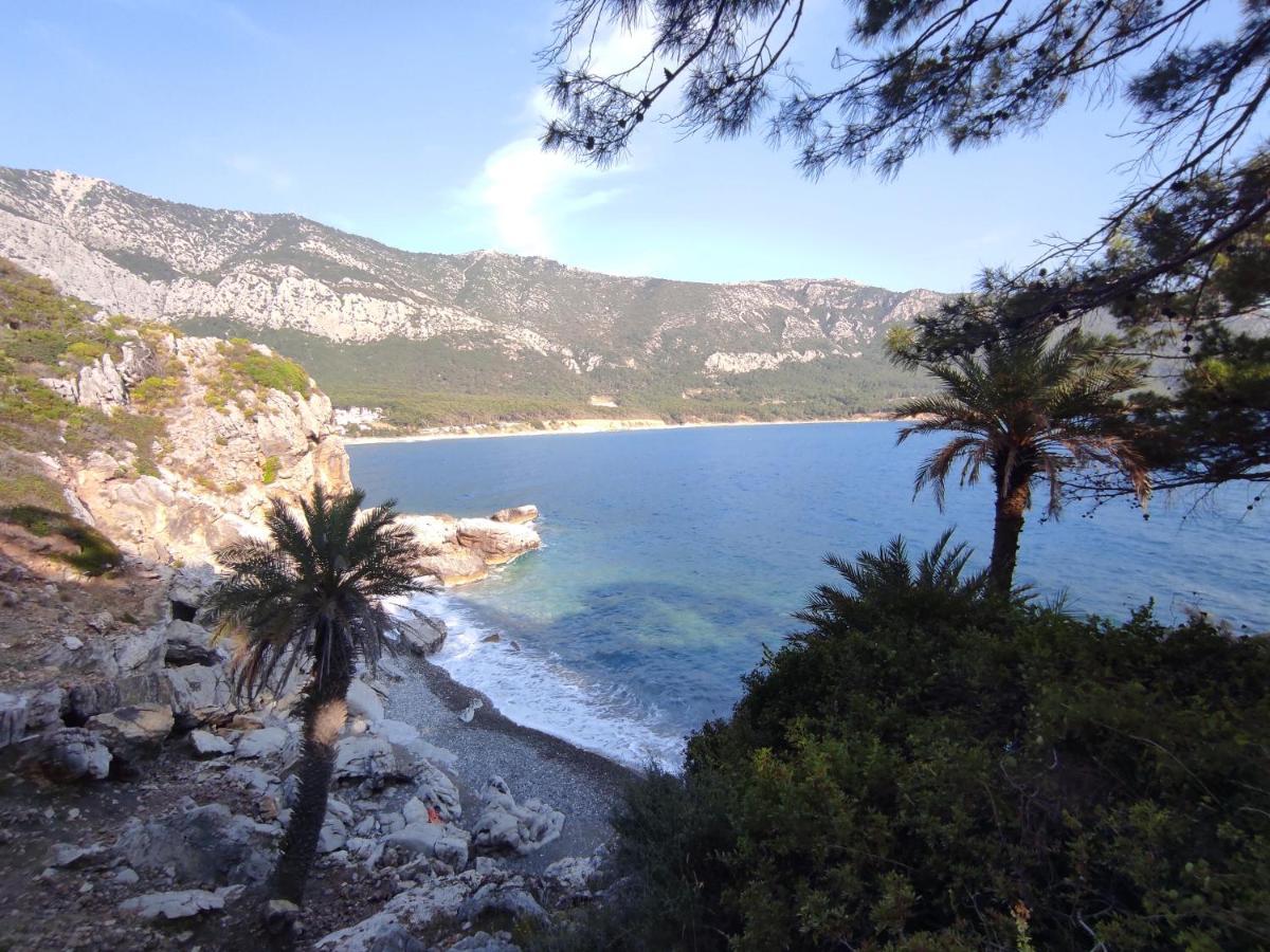 Hurmalik Apart Evleri-Very Close To The Sea Large Garden Bungalow With Barbecue And Swing Karaoz Eksteriør bilde