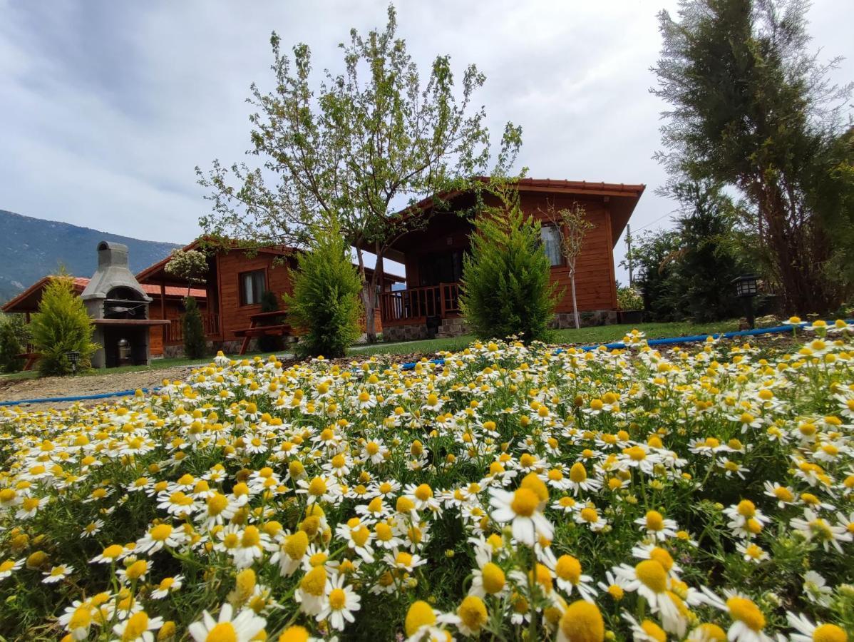 Hurmalik Apart Evleri-Very Close To The Sea Large Garden Bungalow With Barbecue And Swing Karaoz Eksteriør bilde